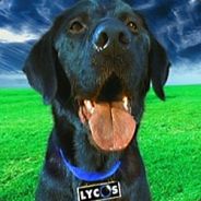 Lycos