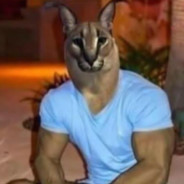 vro