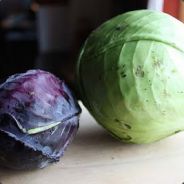 The Green Cabbage