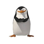 Capitão