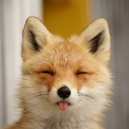 Bananenpfirsisch's Avatar