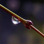 Dont sign my accunt