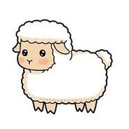 sheep