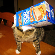 Mein<Poptart>