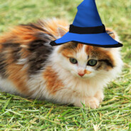 CalicoWizard