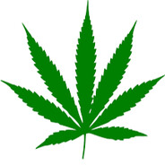 weed enjoyer