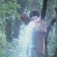 Merlin wh