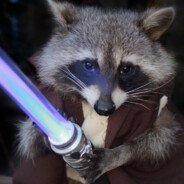 Darth Meeko