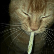 HIDETHEWEED