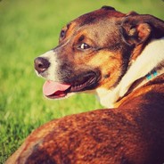 slidetackle's Avatar