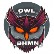 ✪ owl