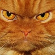 TheRealKarrigan