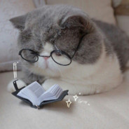FluFFy
