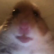 jeff