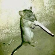 rat bastard avatar