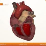 Cardiology (S> Cache)