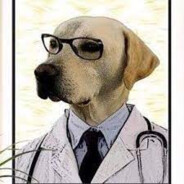 DOGtor