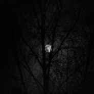 Midnight
