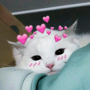 Pussy❤