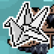 ekocarcat