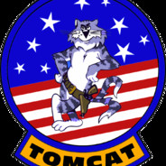 Tomcat1421