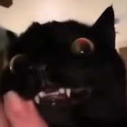 deadharold