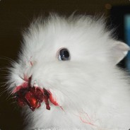 Mojrzesz