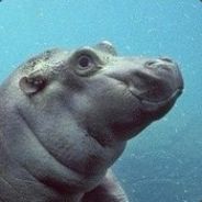 Baatr's Avatar