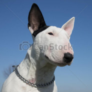 catiau007