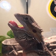 grumps