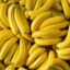 I love Bananas So Much