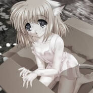 meow＾▽＾