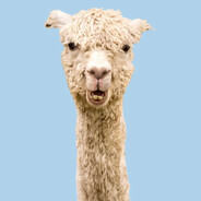 Julezzz's Avatar