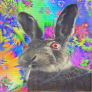 L!NCER