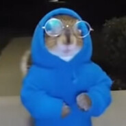 𝘾𝙕