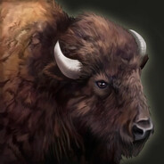 ŻubrKalkulator's Avatar