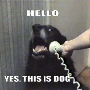 [POOP.]Meich(Dog)'s Avatar