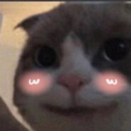 Tom kun