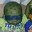 Group Avatar