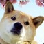 效仿