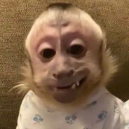 MonkeyBonkey