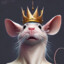 rawkel king of the rats