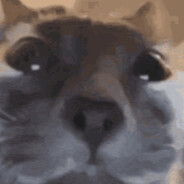 witewally doing the gwiddy