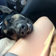 ~zZ
