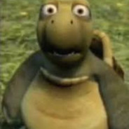 Vern