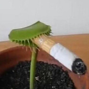 cannibalism