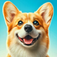 COKIE CORGI