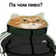 piwo kid