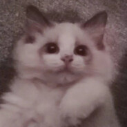 中熊有麦's Avatar