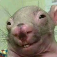 TarugaoLive